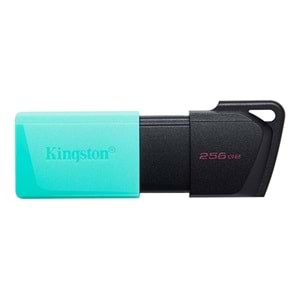 KINGSTON 256 GB USB 3.2
