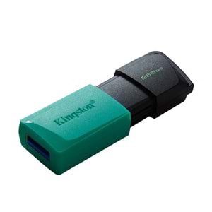 KINGSTON 256 GB USB 3.2