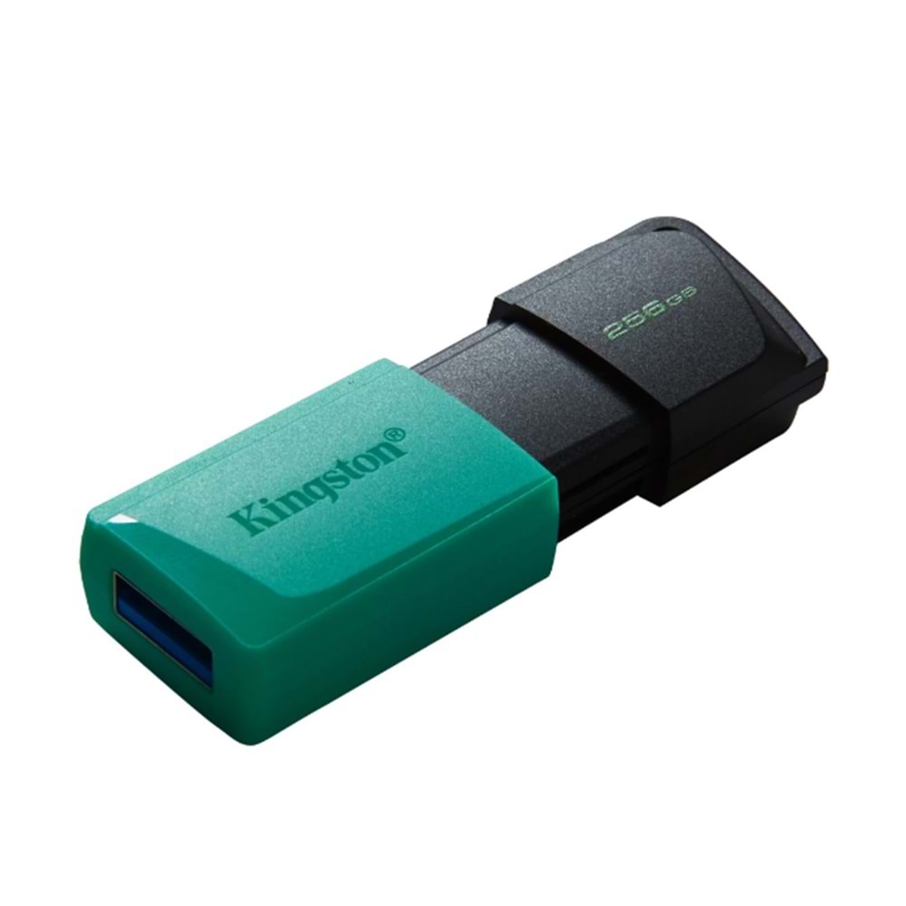 KINGSTON 256 GB USB 3.2